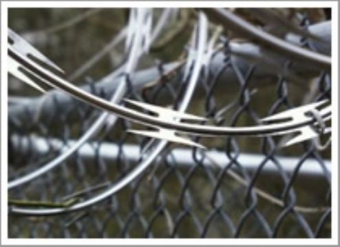 Concertina Wire